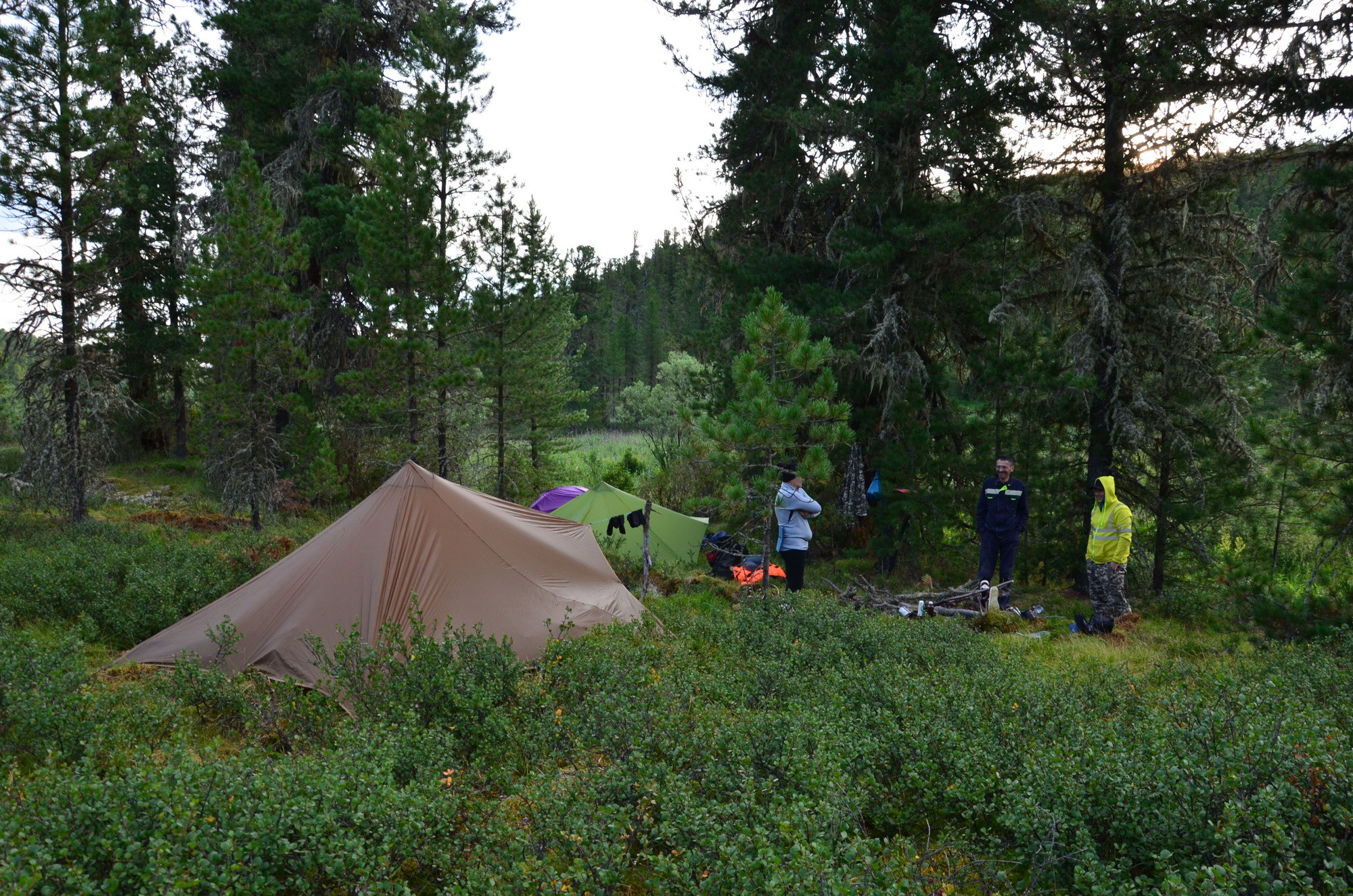 фотография:  Никита Софронов