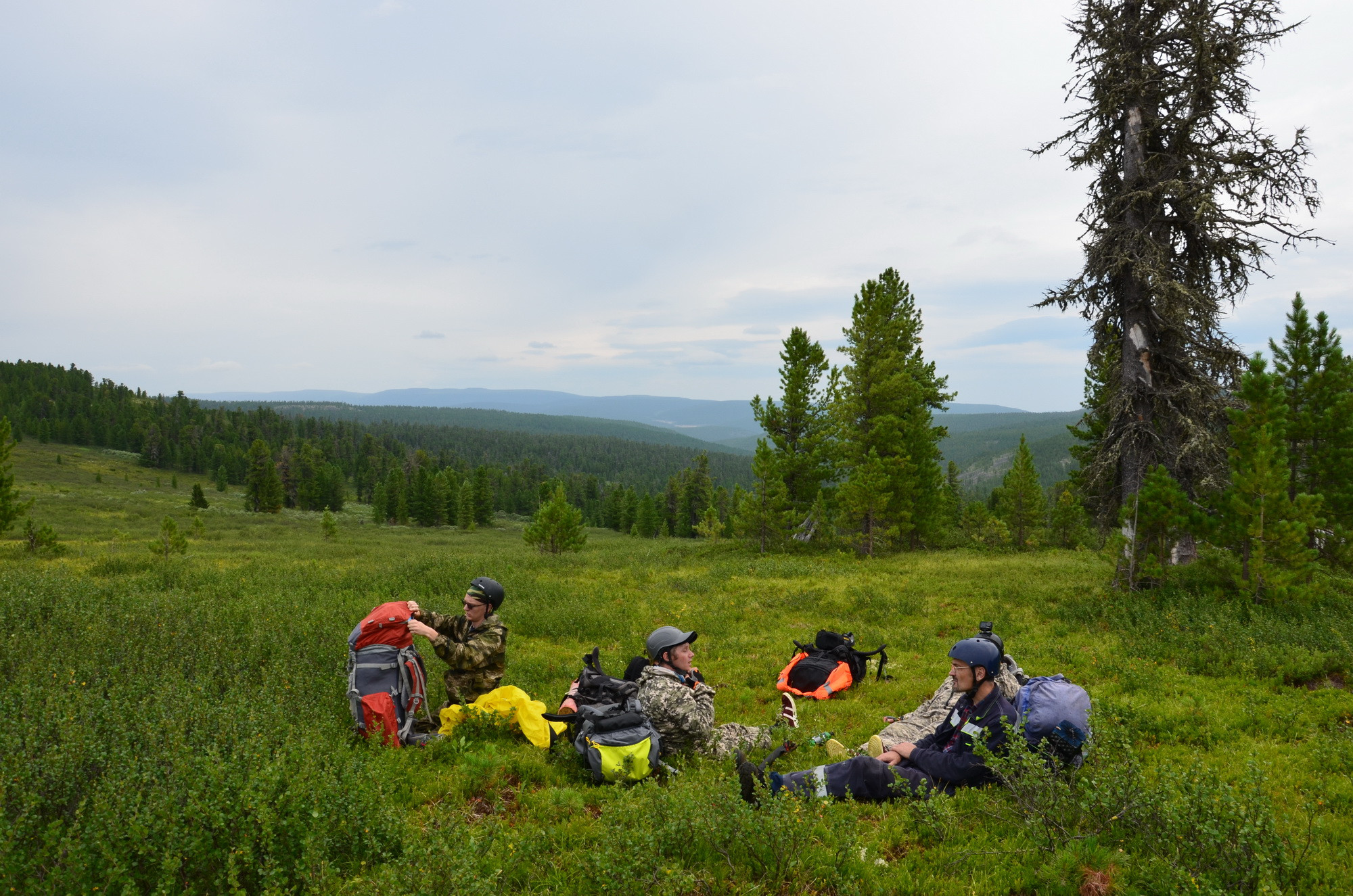 фотография:  Никита Софронов